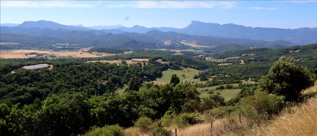1 Vue sur la forêt de Saoû depuis Gigors et Lozeron.jpg