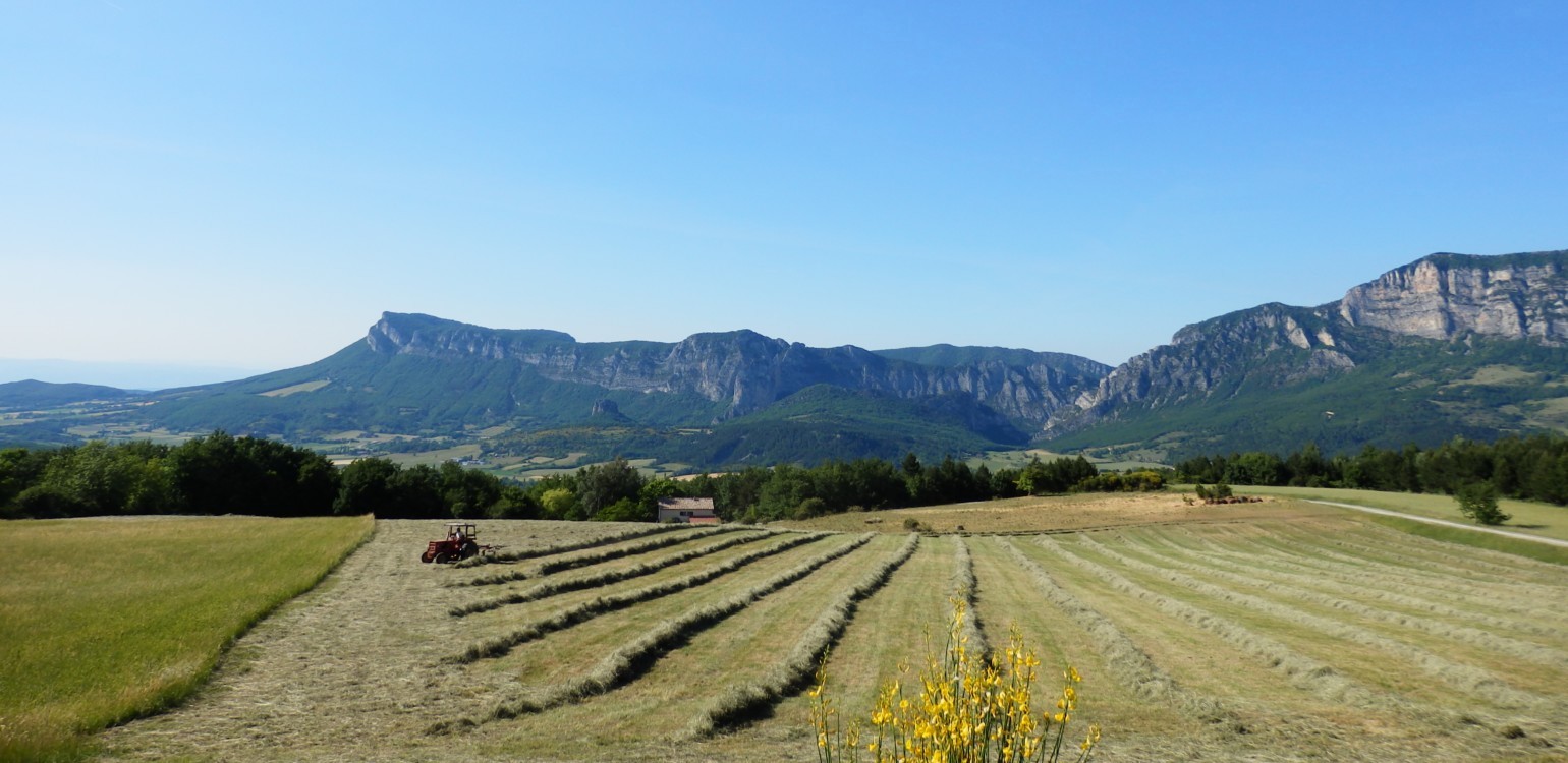 3-foretdesaou.jpg