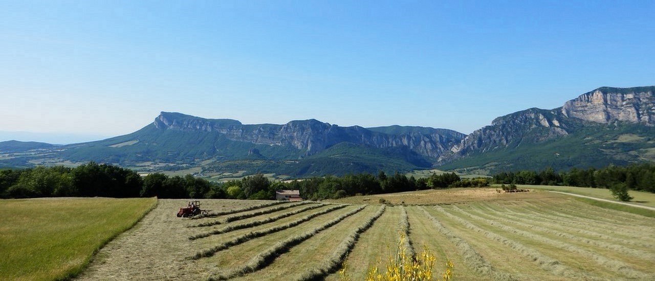 3-foretdesaou.jpg