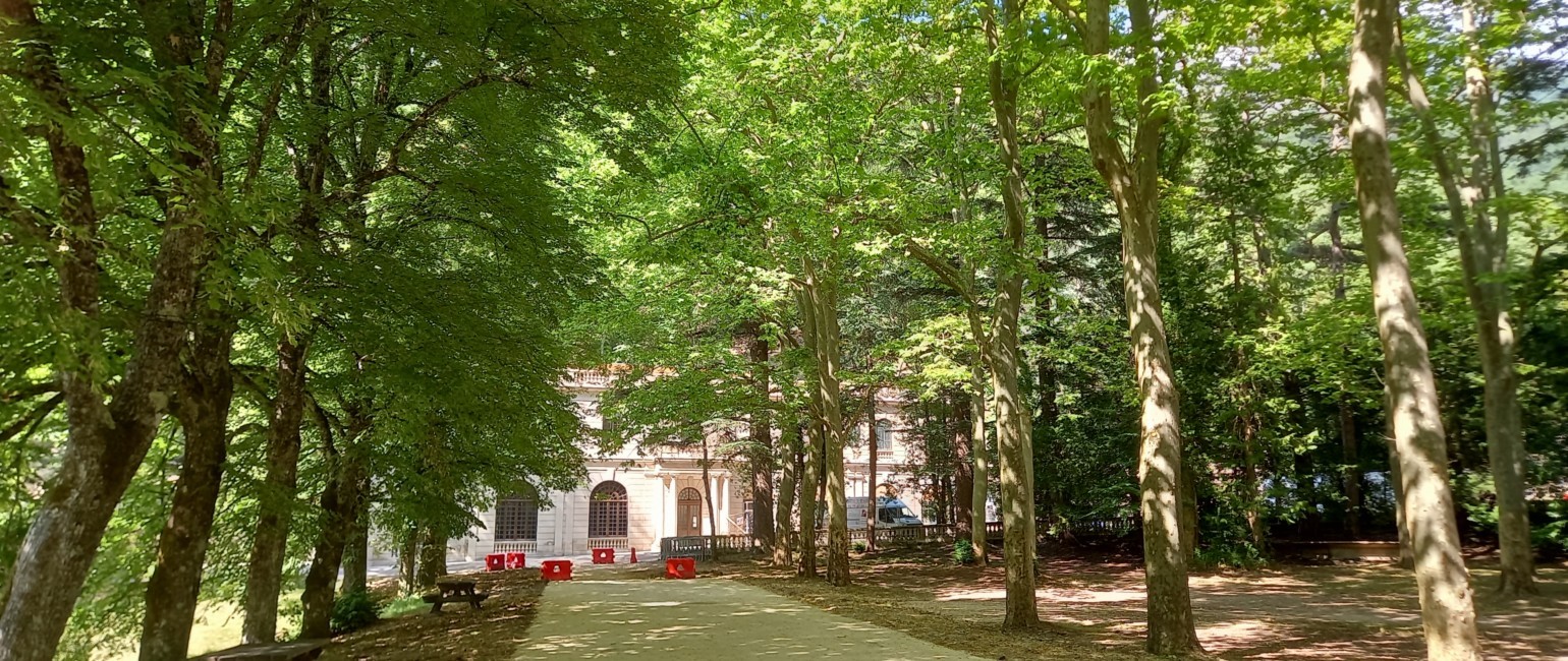 Auberge des Dauphins allée.jpg