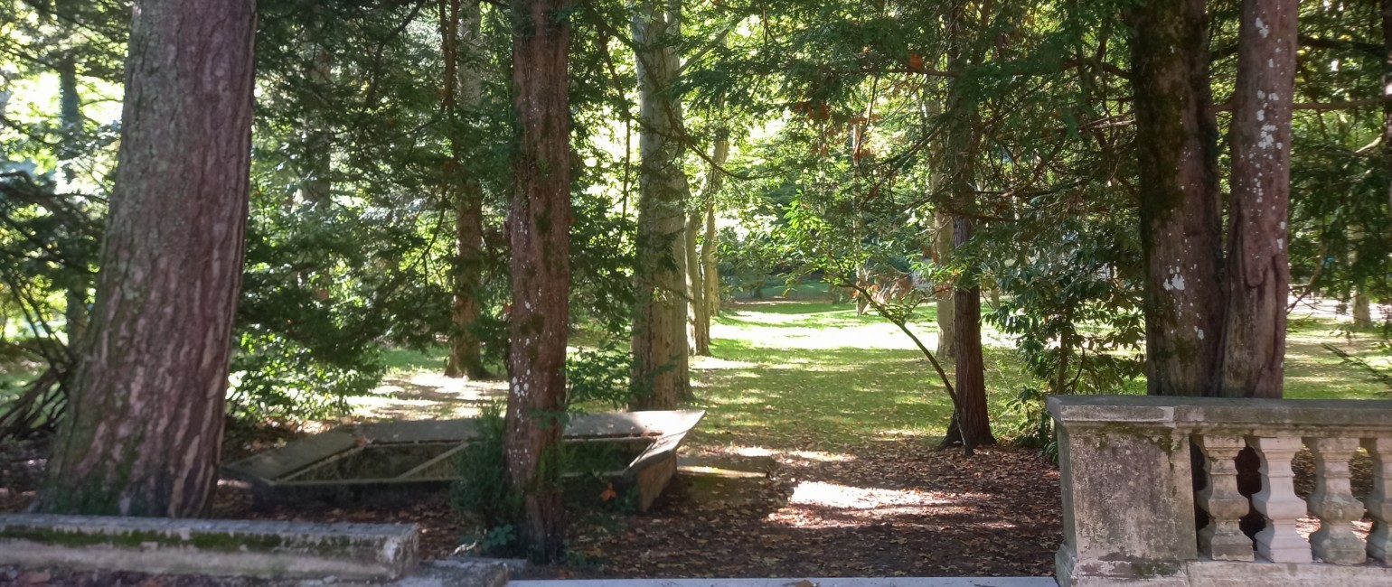 Auberge des Dauphins parc.jpg
