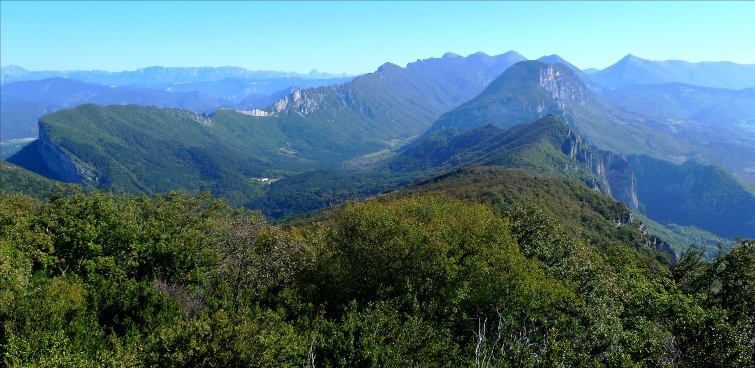 Forêt de Saoû Les 3 becs depuis rando Rochecolombe.jpg