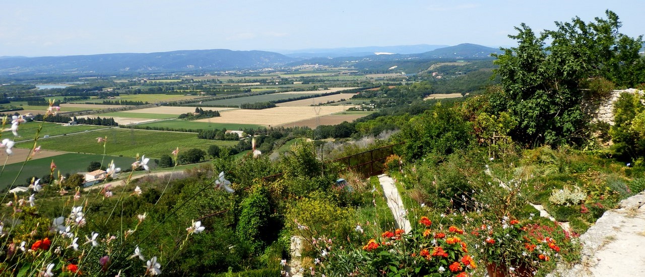 la garde adhemar jardin aux herbes.jpg