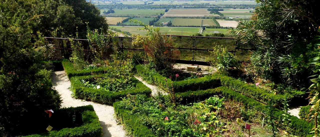 la garde adhemar jardin des herbes.jpg