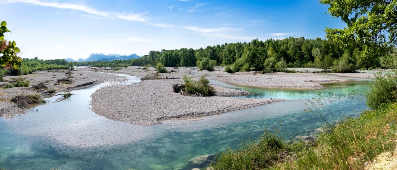 reserve-naturelle-nationale-des-ramieres-la-riviere-drome-2.jpg