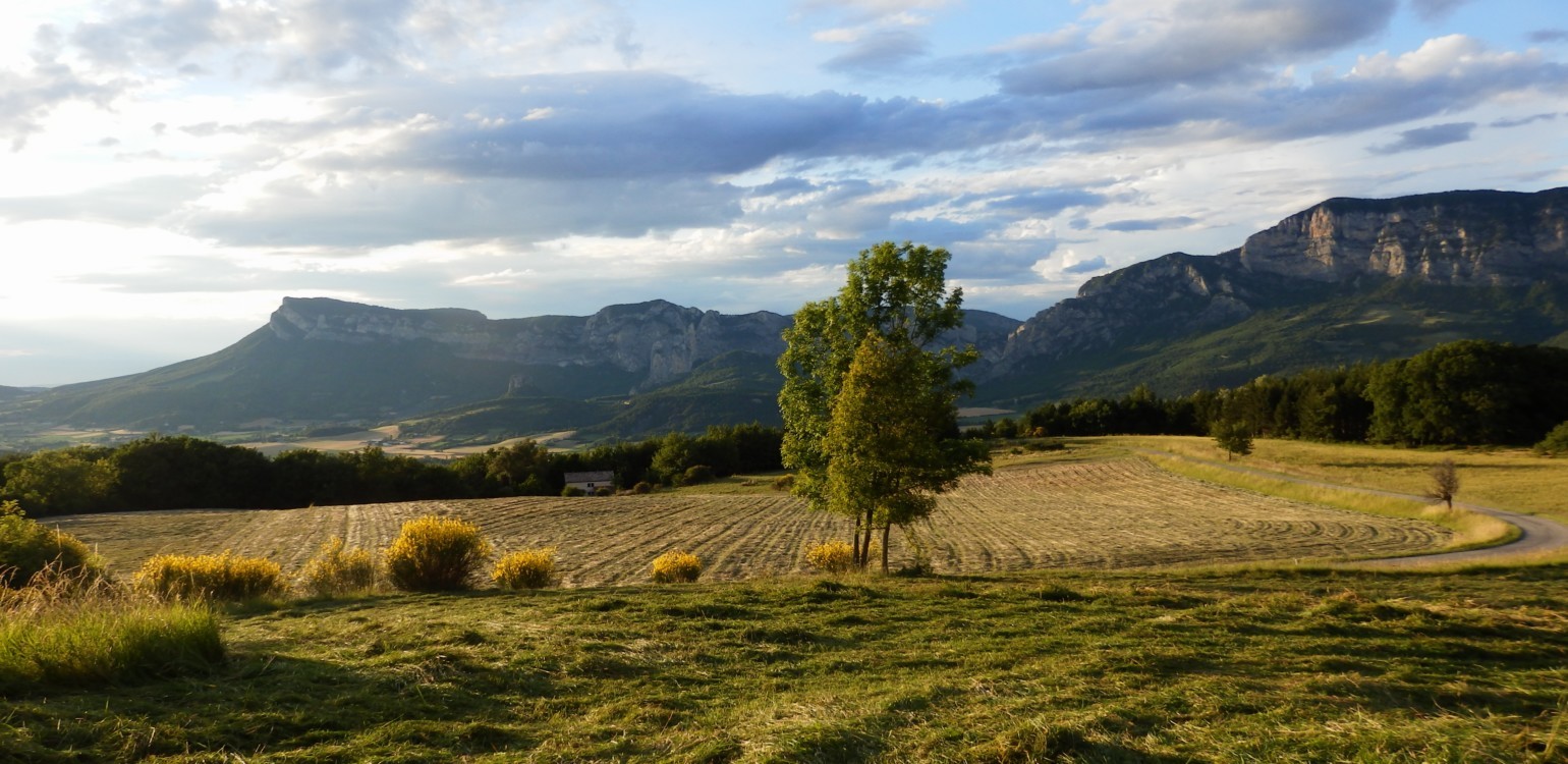 1- la drome pays de lumiere.jpg