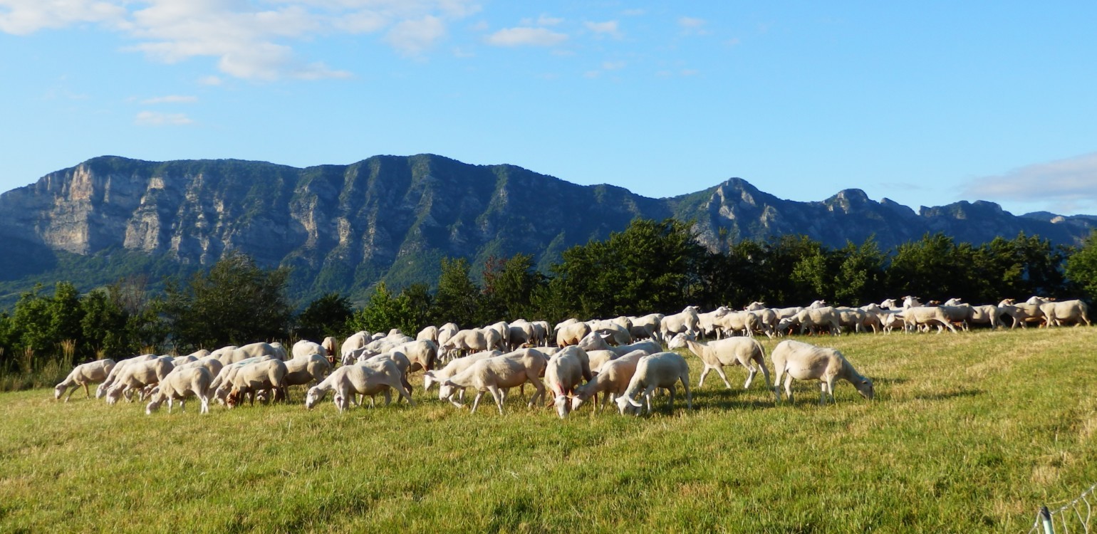 12-Ferme Bio Le Panicaut.jpg