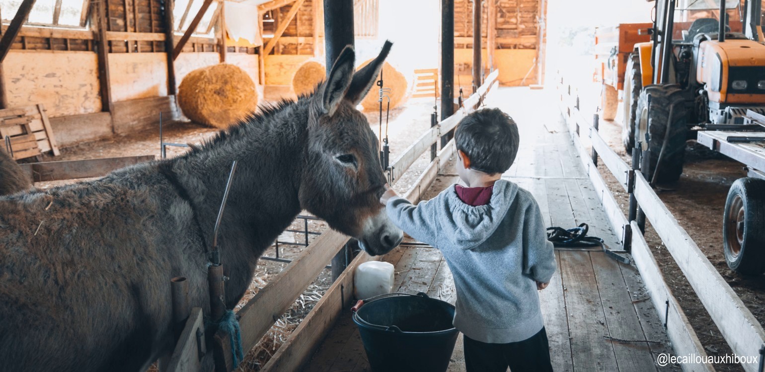 13-Ferme Bio Le Panicaut.jpg