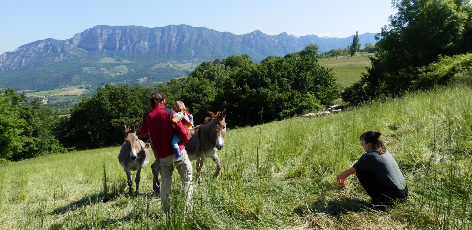 18-Ferme Bio Le Panicaut.jpg
