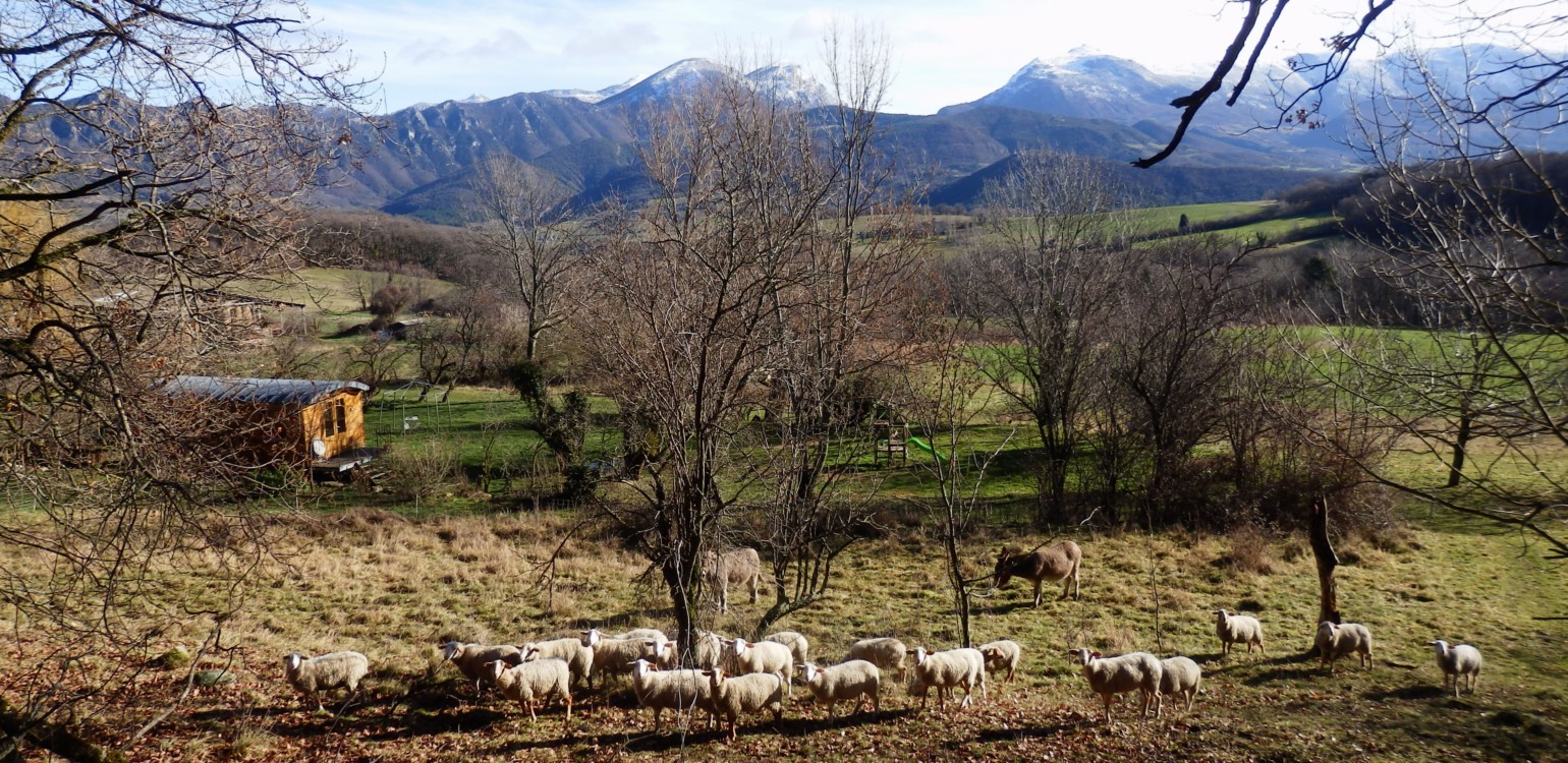 19-Ferme Bio Le Panicaut.jpg