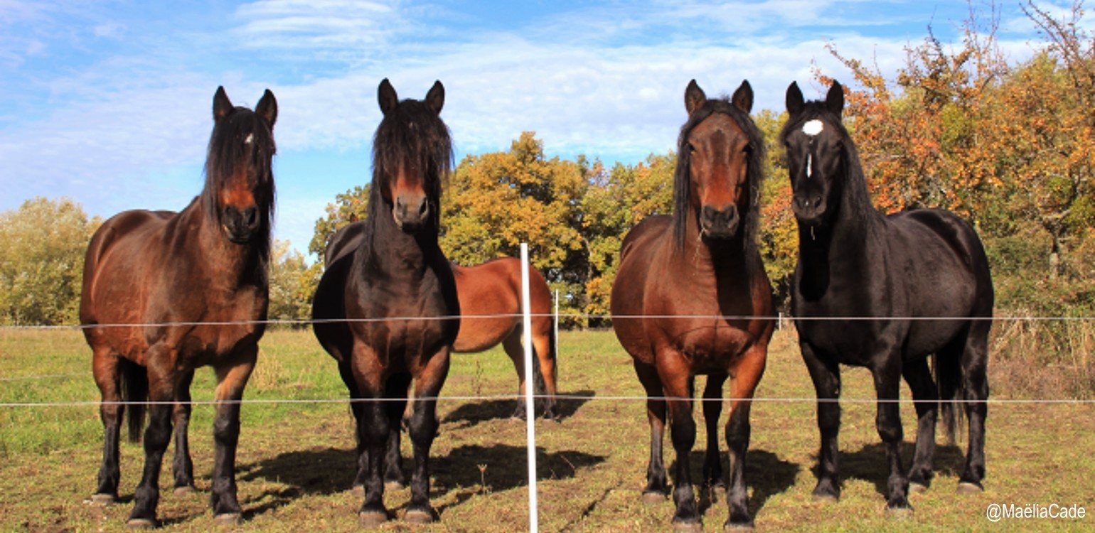 2-Ferme Bio Le Panicaut.jpg