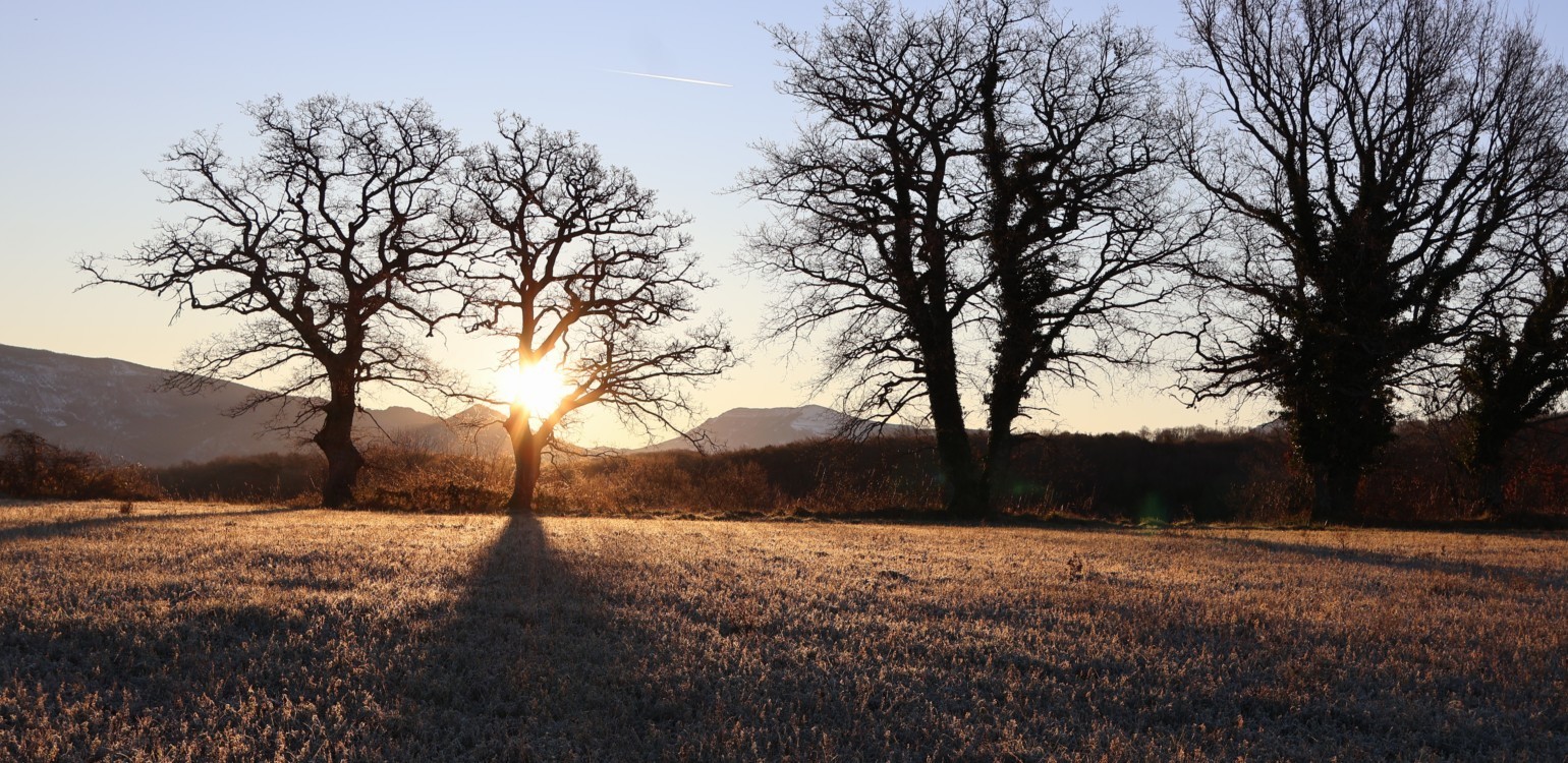 2- la drome en hiver.jpg