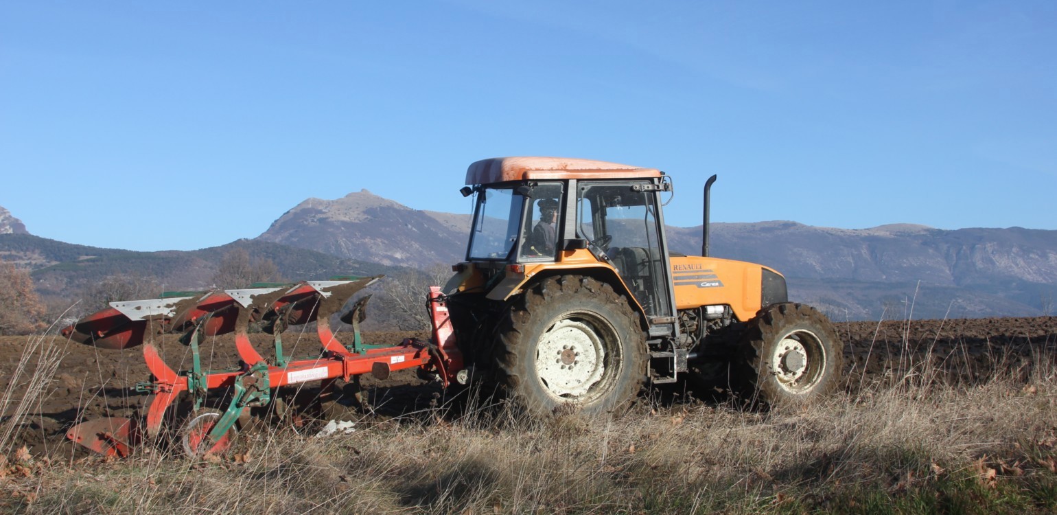 20-Ferme Bio Le Panicaut.jpg