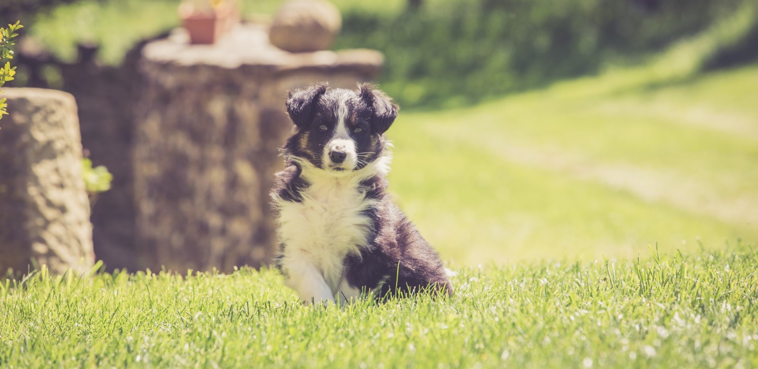 4-Ferme Bio Le Panicaut.jpg