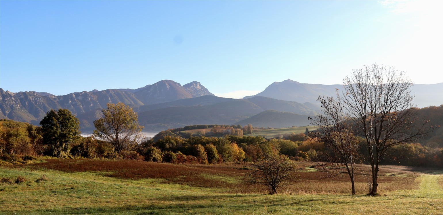 5- la drome couleurs d'automne.jpg