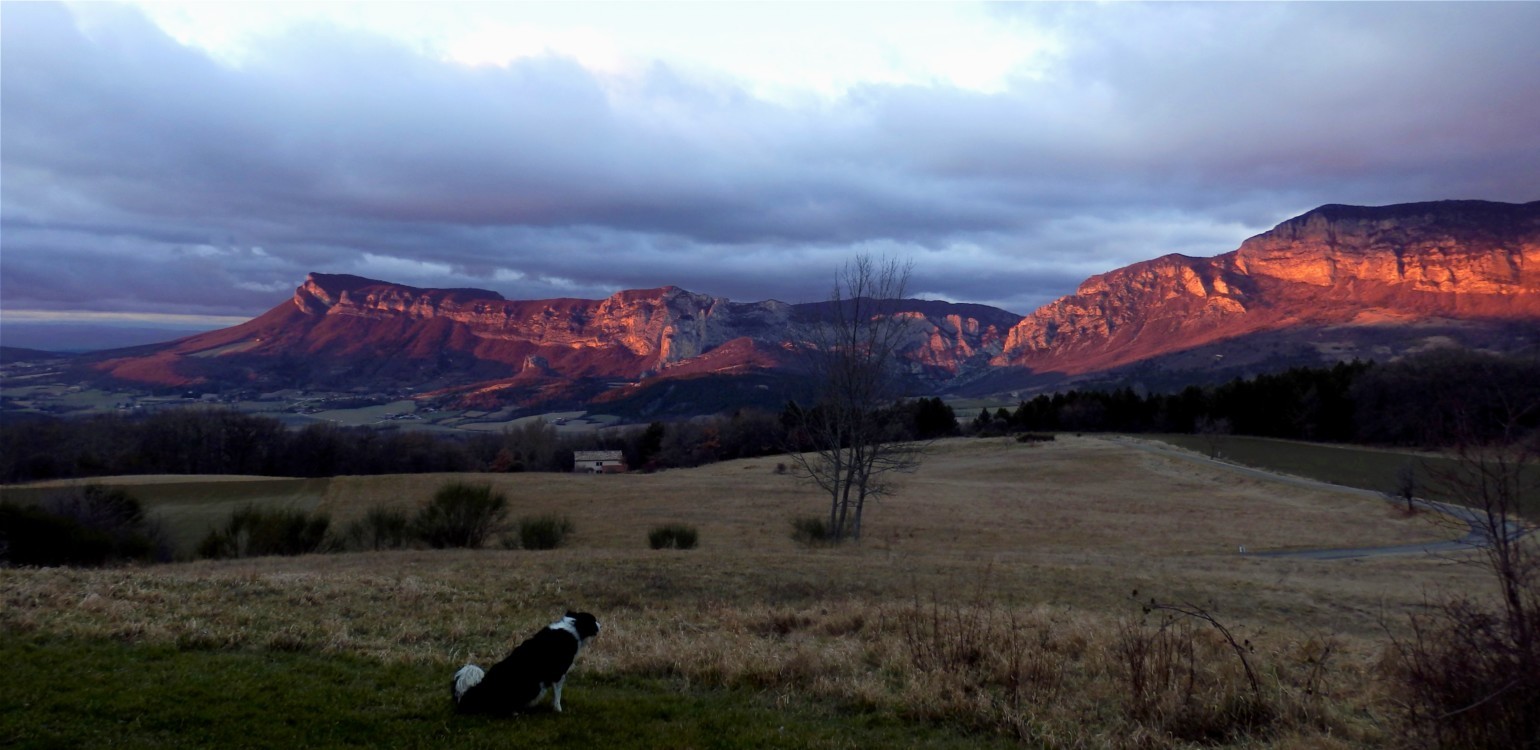 7- la drome couleurs d'hiver.jpg