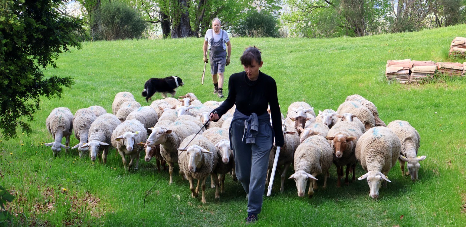 9-Ferme Bio Le Panicaut.jpg