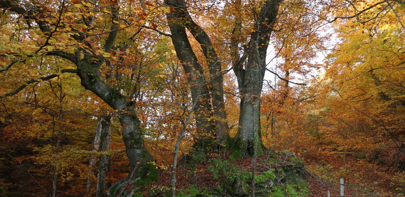 img-7685.jpg