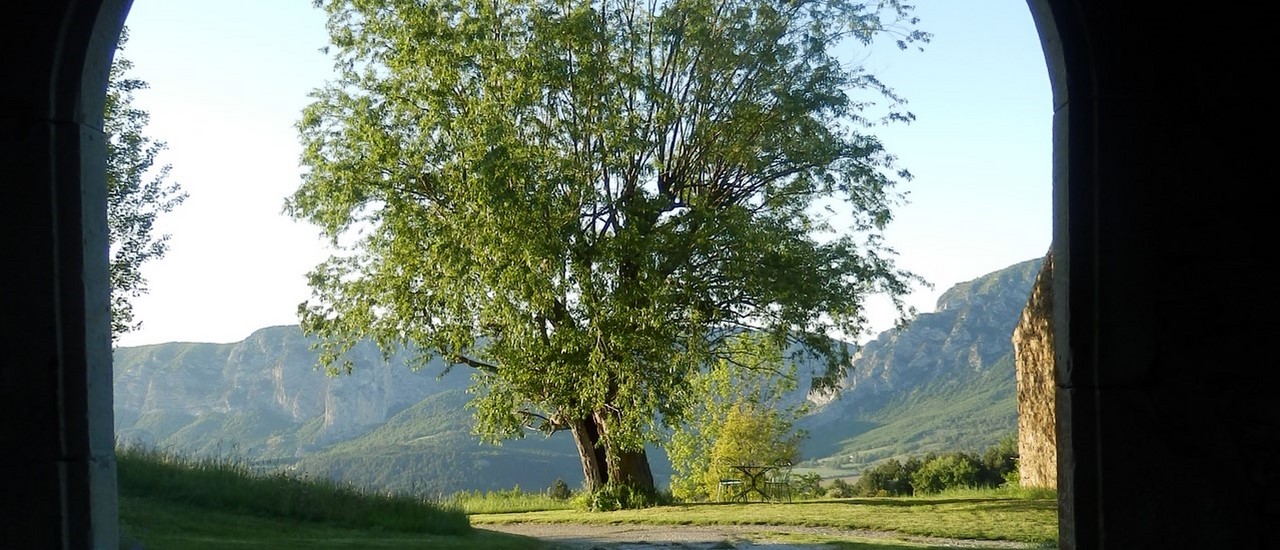 vue foret de saou depuis le porche.jpg