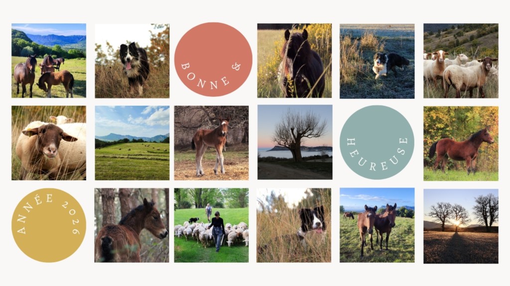 Meilleurs Voeux pour 2026