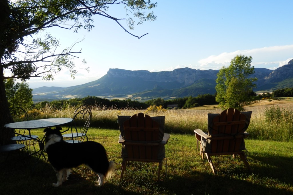 Gîte Angèle Ferme Bio Le Panicaut près de Saoû Drôme