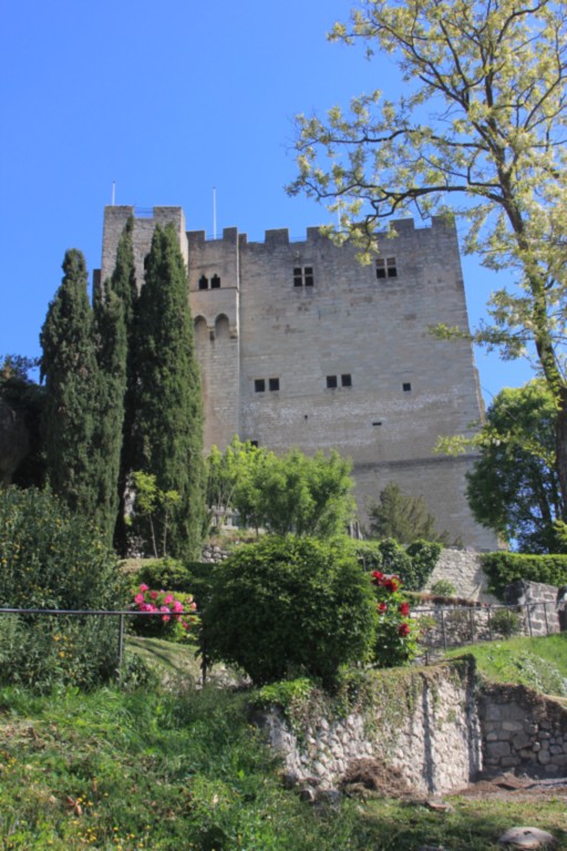 Crest Drôme Tour médiévale
