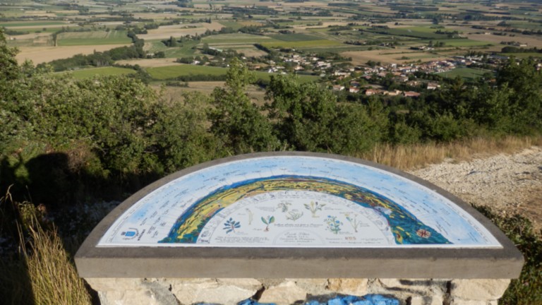 Vieux Marsanne Drôme