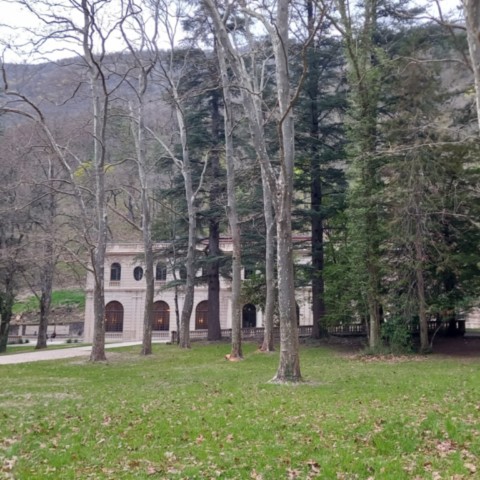 Balade ludique en forêt Saoû Drôme