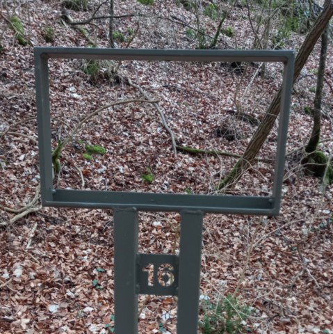 Balade ludique en forêt Saoû Drôme