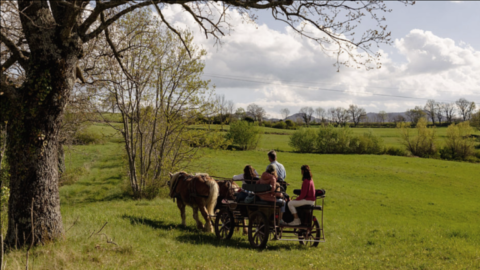 Balade en calèche Drôme Esprit Nature Drôme