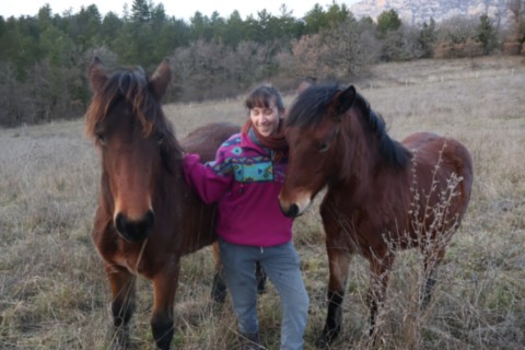 Pouliches Vercors de Barraquand