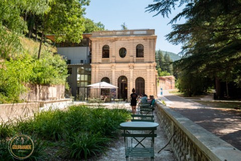 L'Auberge des Dauphins Forêt de Saoû L'Auberge des Dauphins Forêt de Saoû