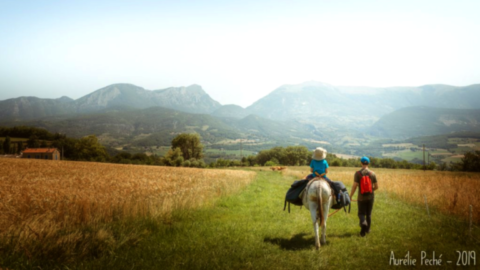 Balade en âne bâté Tzig'ane rando Bourdeaux Drôme