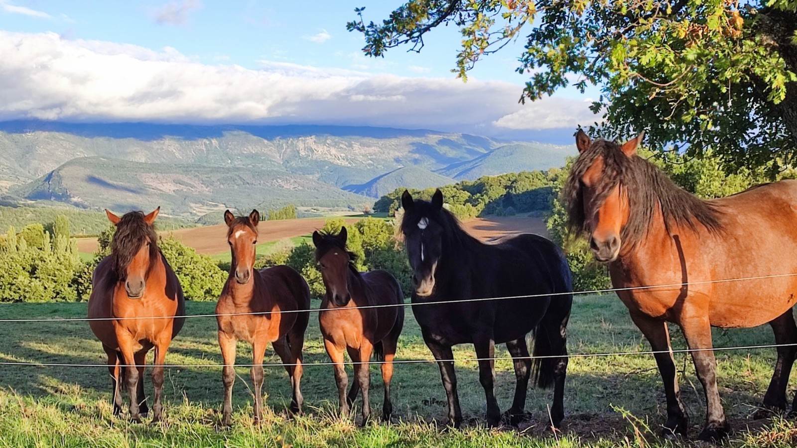 Vacances à la montagne Drôme